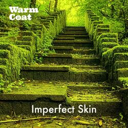 Imperfect Skin