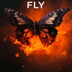Fly