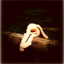 Sometimes in the Dark