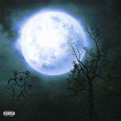 Moon Cycles