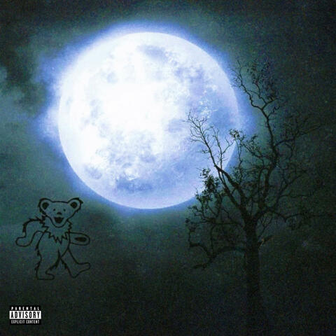 Moon Cycles