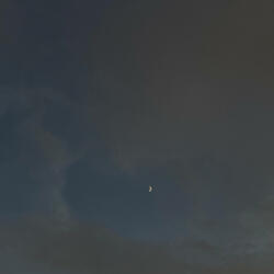 Without You/ Back to Me