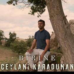 Birine