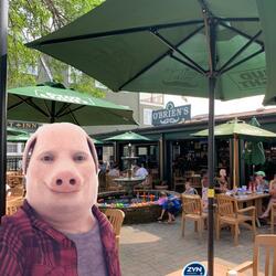 I Wish I Knewport (feat. Flaco)