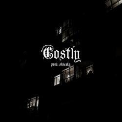 COSTLY (feat. Shneaky)