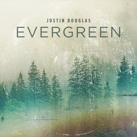 Evergreen