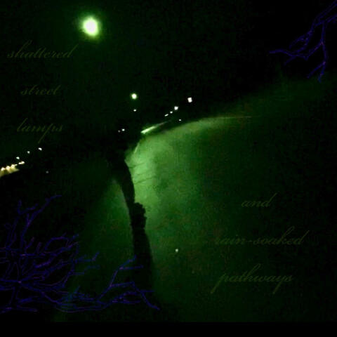 shattered street lamps and rain-soaked pathways