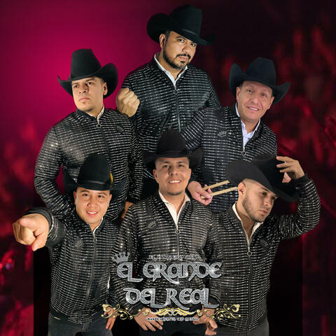 Elefantes Rosas