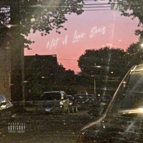 Not A Love Song (feat. Diono)
