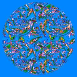 Cephalopod
