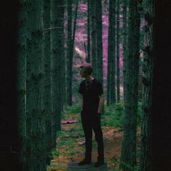 The Forest