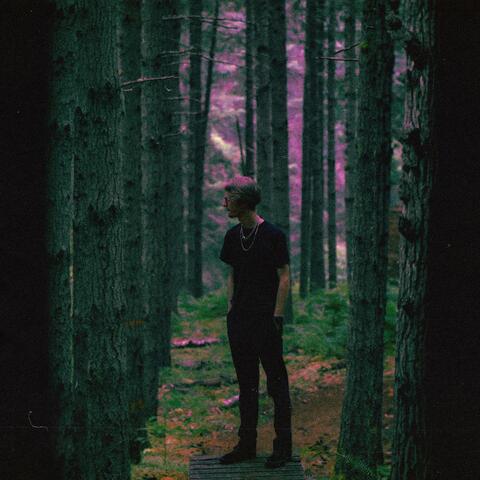 The Forest