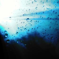 racing raindrops