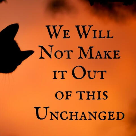 We Will Not Make it Out of this Unchanged