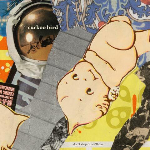 Cuckoo Bird