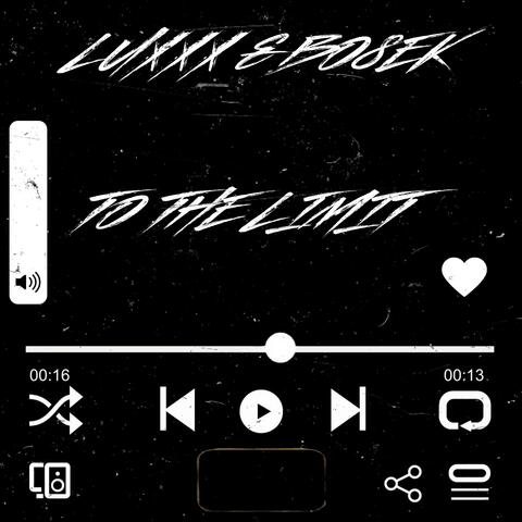 To The Limit (feat. Bo8eK)