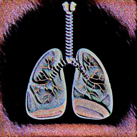 breathe me in (feat. BornLogan)