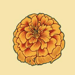 Marigold