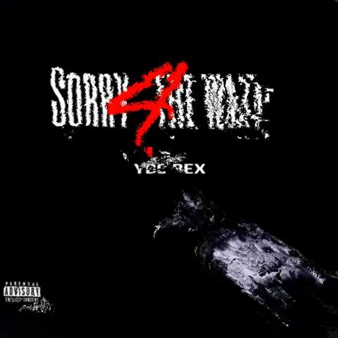 Sorry 4 The Wait