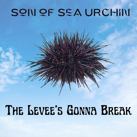 The Levee's Gonna Break