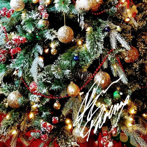 Come Home for Christmas