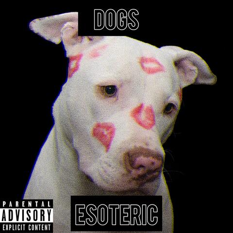 Dogs