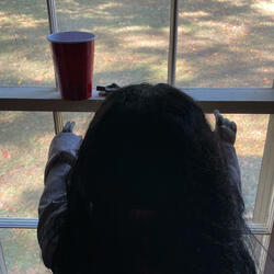 from my window freestyle