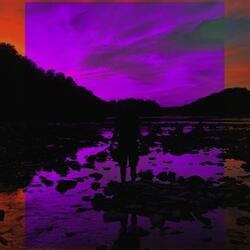VIOFLOW