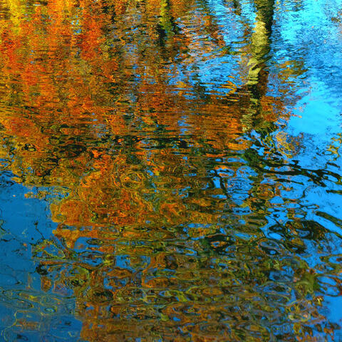 Orange Autumn