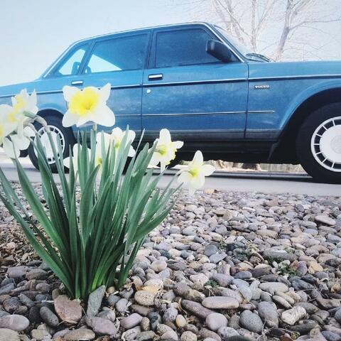 Triumphant Temperance