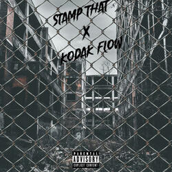 Kodak Flow