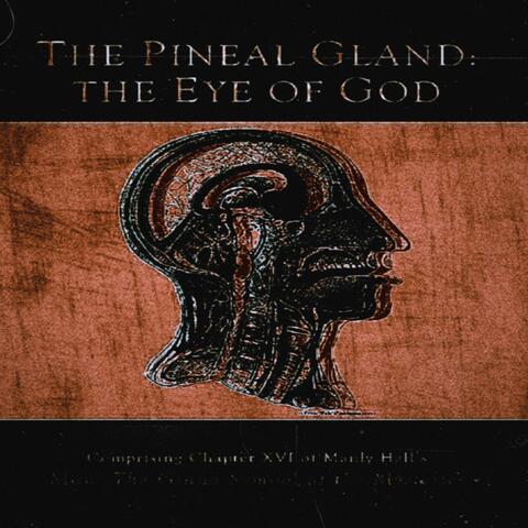 The Pineal Gland: The Eye of God