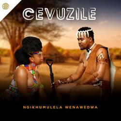 Ngikhumulela Wenawedwa (feat. Ugatsheni)
