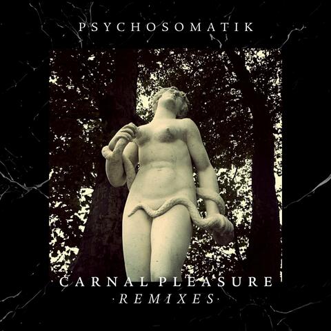 Carnal Pleasure •Remixes•