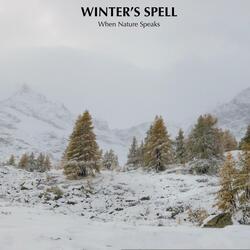 Winter's Spell