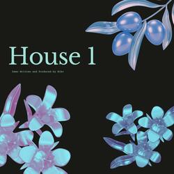 House 1