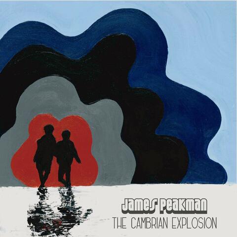 The Cambrian Explosion