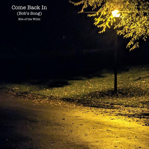 Come Back In (Bob's Song)