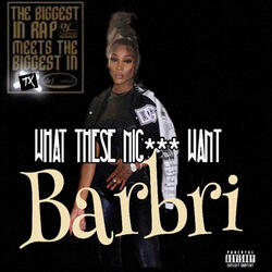 What These Niggas Want