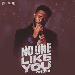 No One Like You