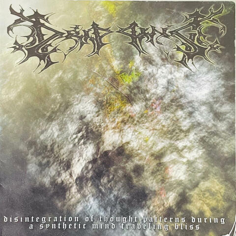 Disintegration of Thought Patterns During a Synthetic Mind Traveling Bliss