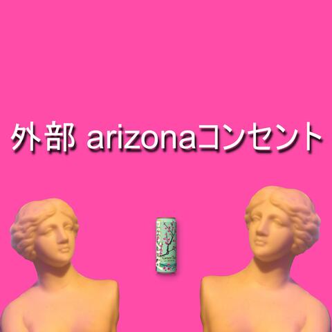 外部 arizonaコンセント