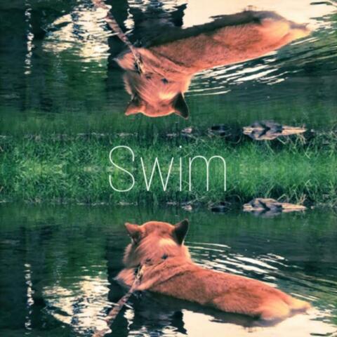 Swim.