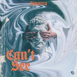 Can`t See