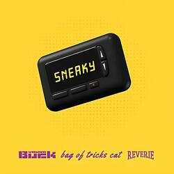 Sneaky (feat. Bag of Tricks Cat)