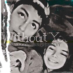 Without You