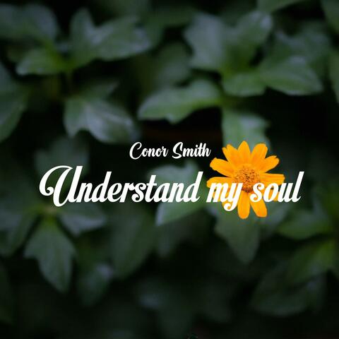 Understand my soul
