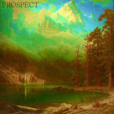 Prospect