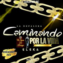 Caminando por la Vida.(Pal bochev1)