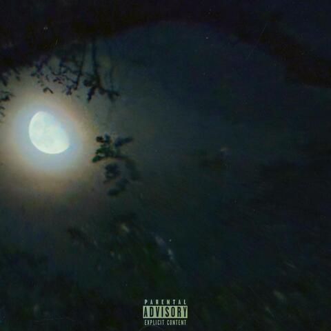 To The Moon